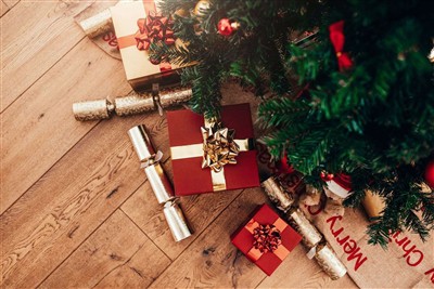 Celebrate the Festive Season with Perfect Flooring - Our Premium Engineered W...