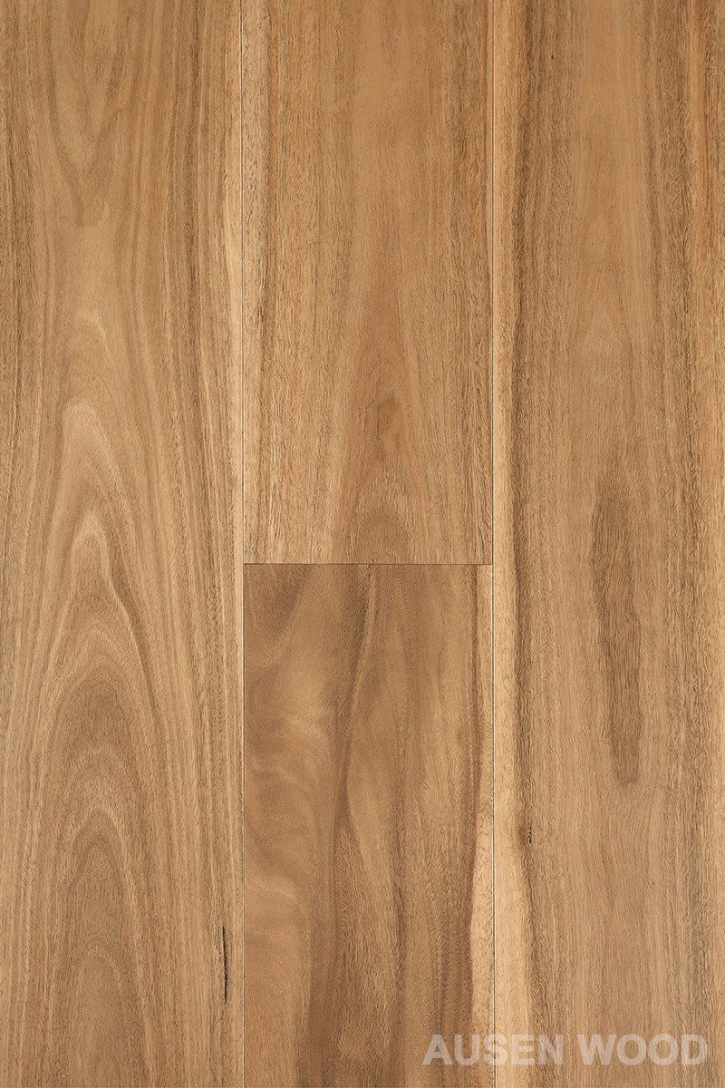 Spotted Gum Engineered Timber Flooring